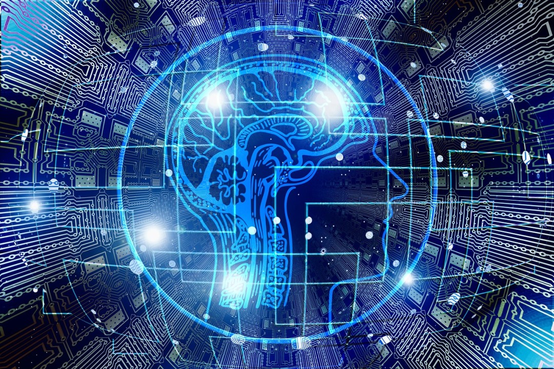 Alaya AI Explained: How to Automate Smarter Without Coding